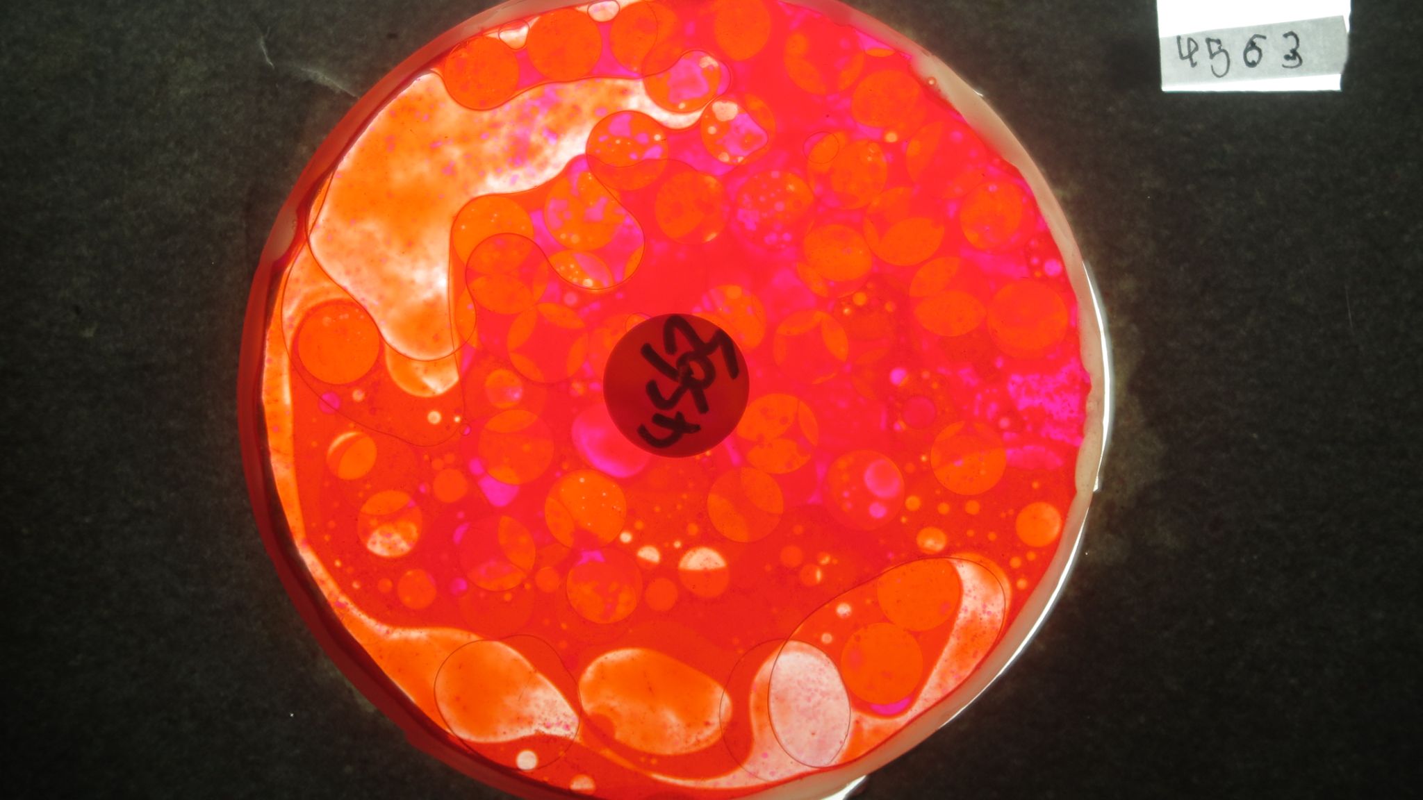 BV4563 bubble vision oil wheel